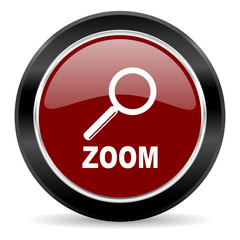 zoom icon