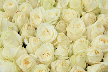 White roses in a wedding arrangement