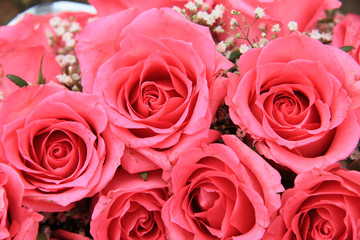 Pink roses in a bridal arrangement