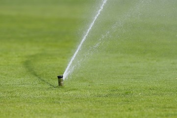 Sprinkler watering lawn  grass