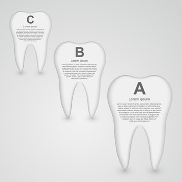 Vector tooth infographic. Design template.