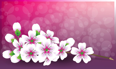 blumen karte muttertag