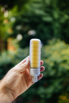 LED bulb in man hand against green environmentally background