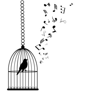 vector birds in cage with musical notes