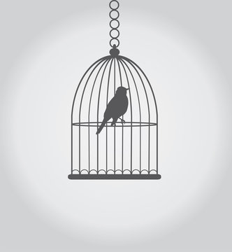 vector birds in cage