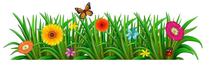 A garden with fresh blooming flowers, a butterfly and a ladybug