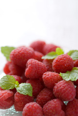 ラズベリー　木いちご