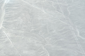 signs of Nazca