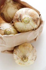 タマネギ　新タマネギ　泥付き野菜