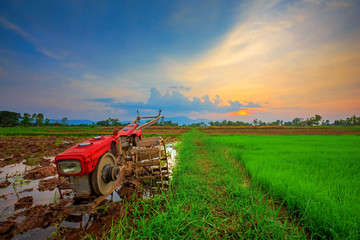 Red power tiller in rice field