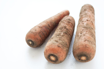 人参　泥付き野菜