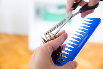 hairdresser cutting wet hair close-up, beauty salon