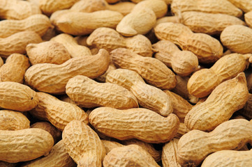 groundnut background