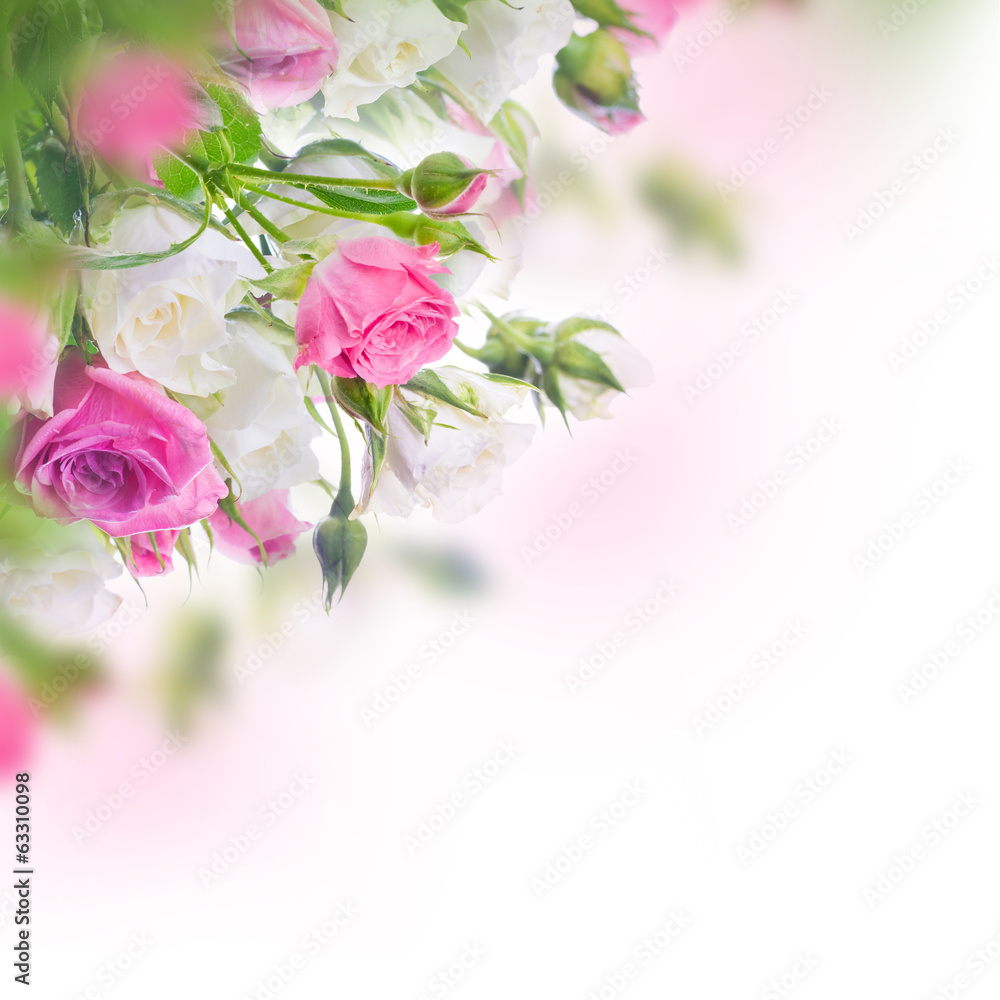 Fototapete Bouquet of white and pink roses. Floral background.
