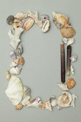 Fototapeta premium frame made ​​of shells