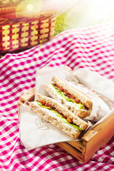 Healthy wholewheat sandwiches for a picnic