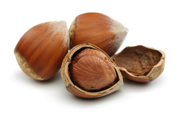 Hazelnut Group