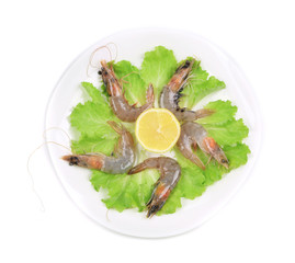 Raw tiger shrimps on plate