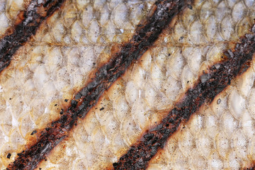 Texture of fish  grill skin close up.