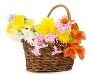Fototapeta na wymiar Beautiful flowers in wicker basket, isolated on white