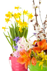 Beautiful flowers in metal buckets  close up