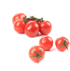 fresh Ripe Tomato