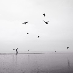 man walking on the beach with flock of birds