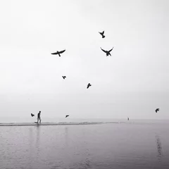  man walking on the beach with flock of birds © nasruleffendy