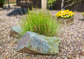 Ornamental grass set in rockery