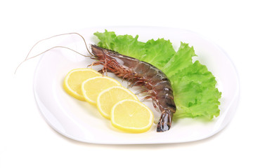 Raw tiger shrimps on plate.