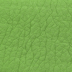 old  green leather texture.