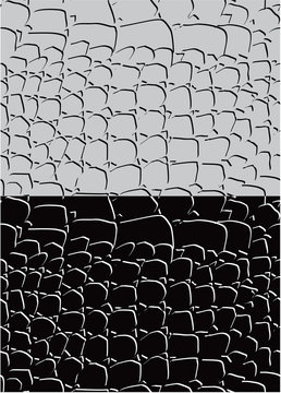 Set of reptile skin seamless patterns