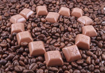 Coffee beans on white background