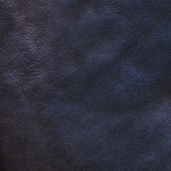 blue leather texture