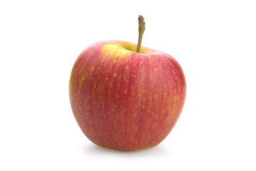 Red apple on a white background