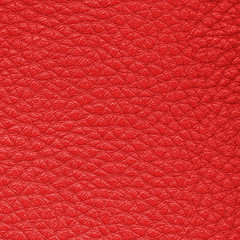 Fototapeta premium red leather texture closeup