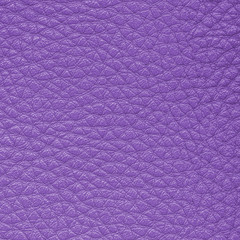 Fototapeta premium violet leather texture closeup