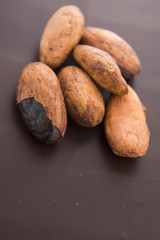 Cacao beans with milk chocolate