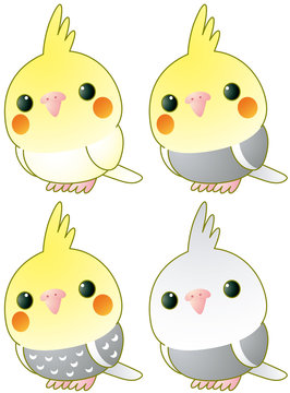 オカメインコ Images Browse 460 Stock Photos Vectors And Video Adobe Stock