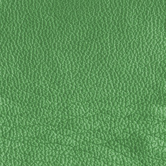 green leather texture closeup