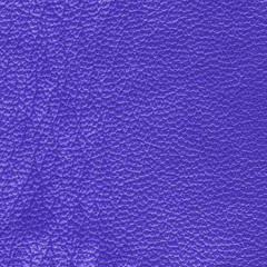 violet leather texture closeup