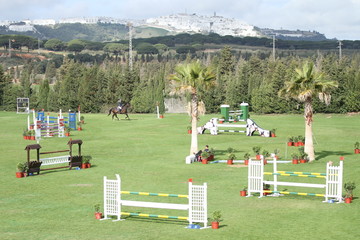 Springplatz