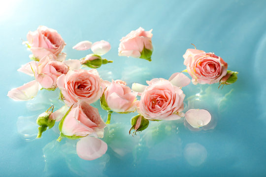 Fototapeta Floating pink roses close up