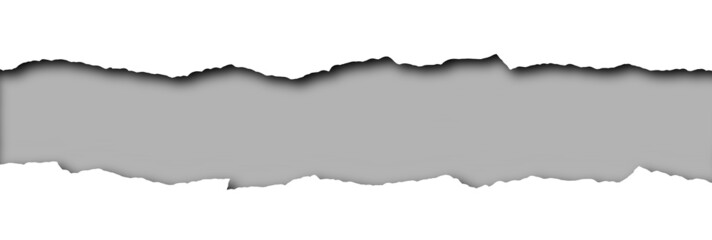 Torn paper with grey space for text isolated