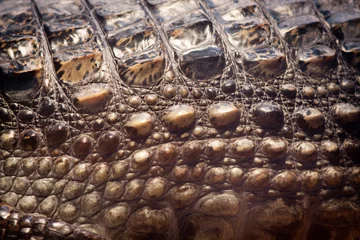 Tableaux ronds sur aluminium brossé Crocodile Texture de peau de crocodile.