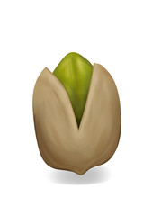 Simple, realistic brown pistachio illustration, front view.