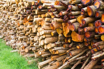 Background of wood pieces, which included many of the row