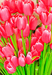 artificial pink tulip