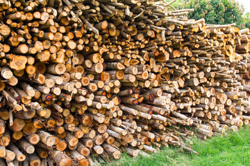 Background of wood pieces, which included many of the row