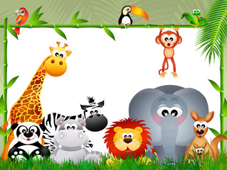 wild animals in the jungle